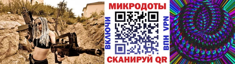 omg как войти  Кандалакша  Псилоцибиновые грибы прущие грибы 